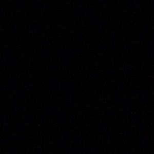 Meet your Posher, Dante